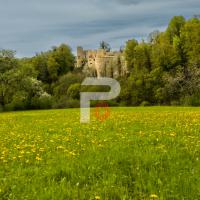 Chateau de Morimont -PROPHEO-